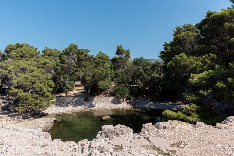 Karst Forest Management